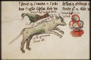 Constellation: Corvus (The Crow or the Raven) and Canis Minor