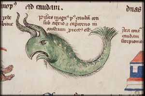 Constellation: Pisces Austrinis (The Southern Fish)