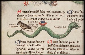 Constellation: Hydra (The Sea Serpent or the Water Serpent), Corvus (The Crow or the Raven) and the Crater (the Cup)