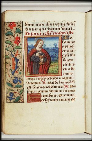 The Evangelist St. John holding the poisoned chalice