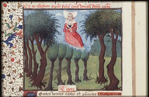 Isis tending trees