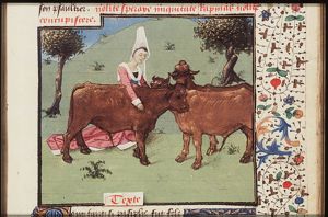 Pasiphae embraces a bull