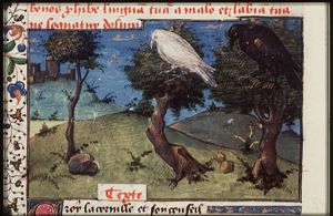 Black crow and white raven. The Crow counsels Apollo's raven