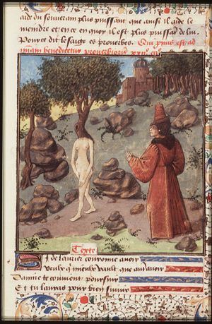 Daphne, pursued by Apollo, changes into a laurel-tree