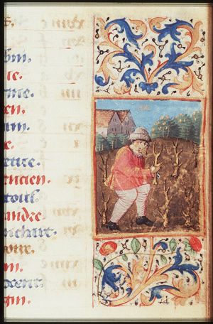 March: a man pruning
