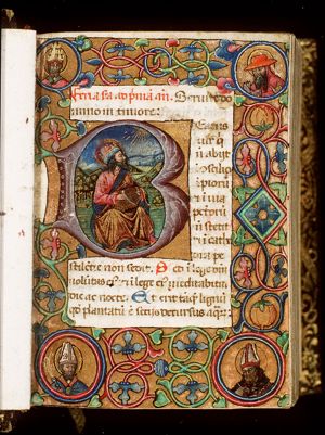 David playing the harp