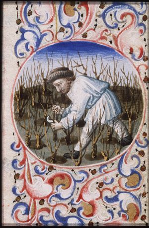 March: a man pruning