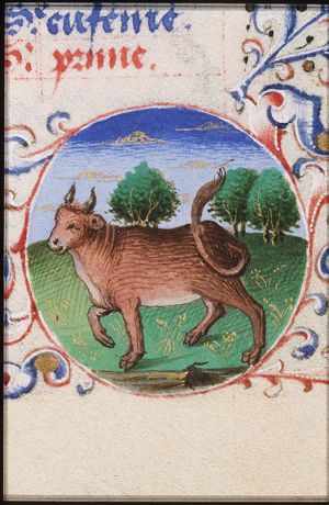 April: Taurus