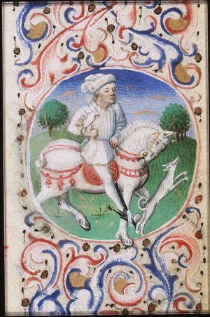 May: a falconer