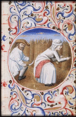 July: a man reaping corn and a woman binding sheaves