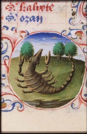 October: Scorpio