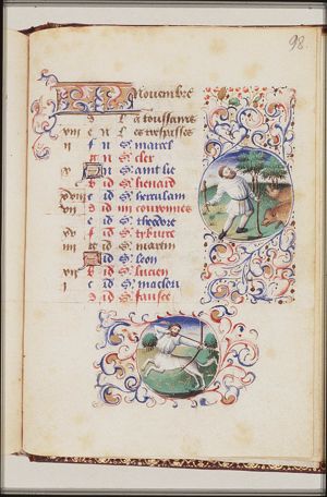 November: a man knocking acorns out of oak-trees
