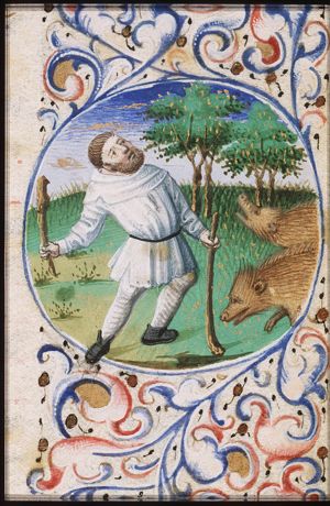 November: a man knocking acorns out of oak-trees