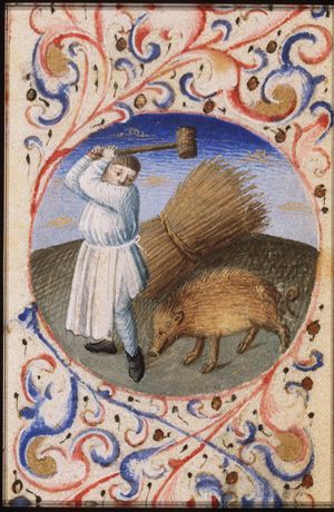 December: a man slaughtering a pig