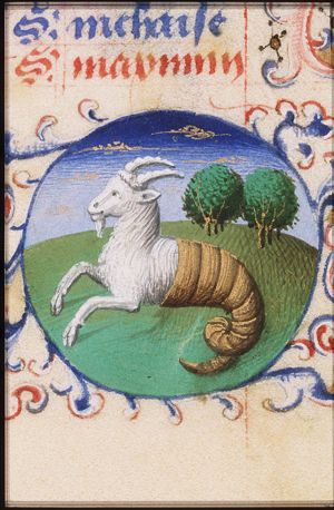 December: Capricorn