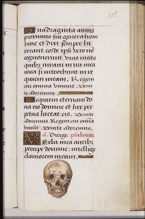 A skull