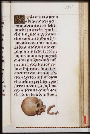 A skull