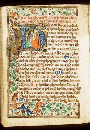 David playing the harp
