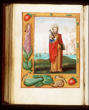 St. Apollonia of Alexandria