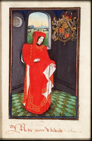 Reinoud II, Seigneur de Brederode et Vianen
