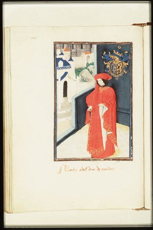 Adolf the Younger, Duke of Guelders, Count of Zutphen