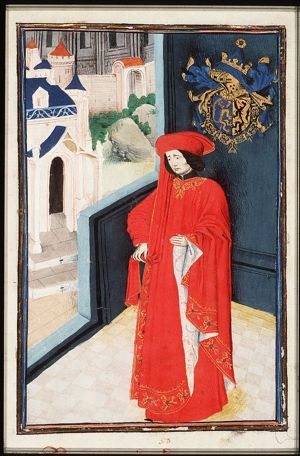 Adolf the Younger, Duke of Guelders, Count of Zutphen