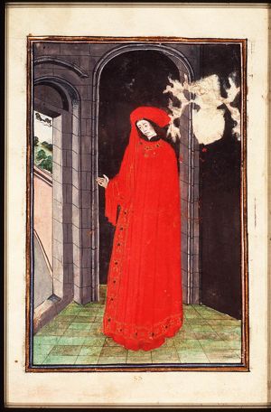 A knight of the Order of the Golden Fleece