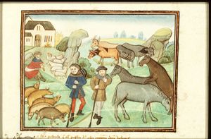 Farmers and their livestock
