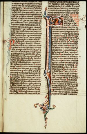 The Amalekite messenger who brought David the message of Saul's death is put to death by one of David's soldiers