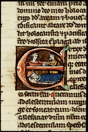 Abishag is brought before David on his sickbed