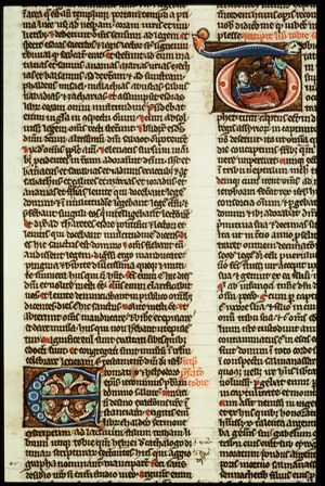 Tobit is blinded by a swallow's dropping