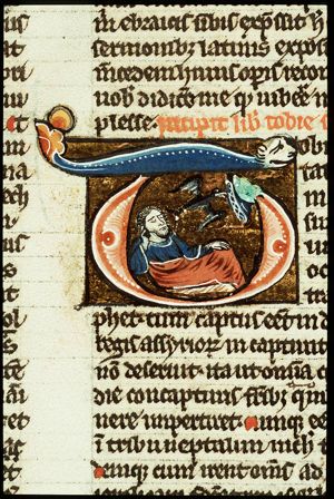 Tobit is blinded by a swallow's dropping