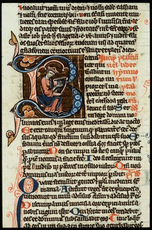 David playing the harp