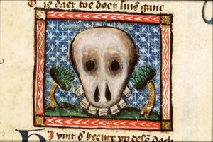 Skull of a Teuton