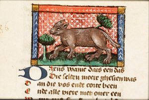 Daxus (badger)