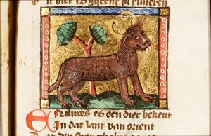 Enthires