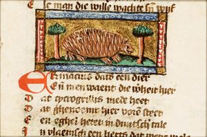 Erinacius (hedgehog)
