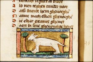 Eriminius (ermine)
