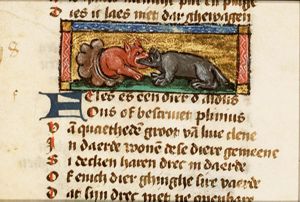 Feles (marten)