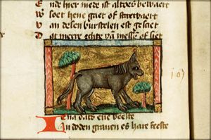 Iena (hyena)