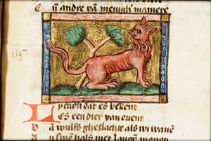 Lichaon (wolf)