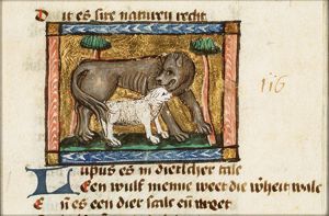 Lupus (wolf)