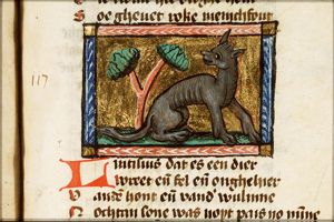 Lincisius (wolf)