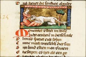 Monocheros (unicorn) caught by a virgin