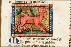 Mantichora (tiger)