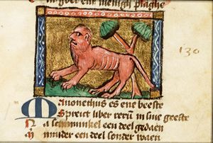Mamonetus