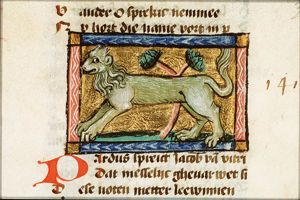 Pardus (leopard)