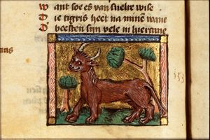 Taurus (bull)