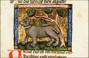 Ursus (bear)