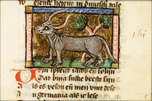 Urun (ox)